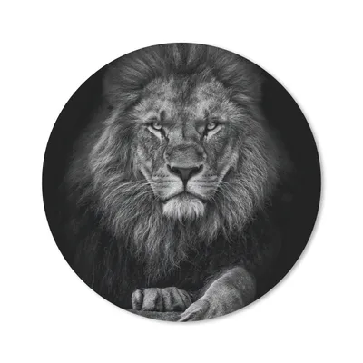 Produktbild von MuchoWow® Mauspad Mousepad Löwe - Tiere - Schwarz - Weiß 50x50 cm - Mousepads - Maus Mat - Pad - Mausunterlage - Vinyl