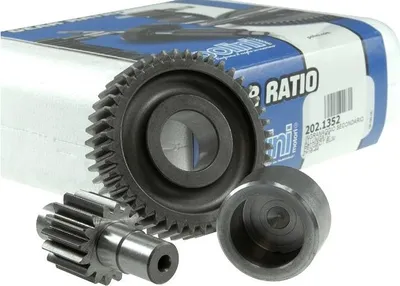 Immagine prodotto di Rapporto di trasmissione secondario, Polini per Buxy, Elyseo, Speedfight, Speedake, Squab, Trekker, 16 / 44 (2.75) Peugeot, Elystar, Jetforce C-Tech, TSDI, Looxor, Ludix, Metal-X, New Vivacity, Rapido, Speedfight 2, 1, 3, TKR, Vivacity 50