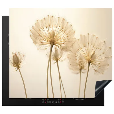 Produktbild von KitchenYeah© Herdabdeckplatte Sonnenlicht - Löwenzahn - Botanisch - Blumen , 57x51cm, Küche Deko, Glaskeramikkochfeld Herdabdeckung, Abdeckplatte fùr Kochfeld