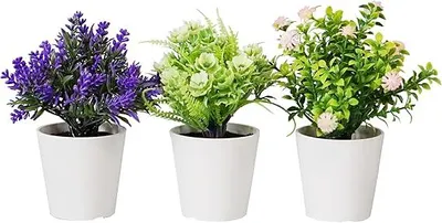 Immagine prodotto di Set 3 Piante Artificiali con Vaso in Polipropilene Bianco