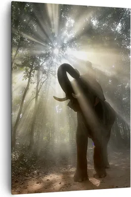 Produktbild von Bild auf Leinwand - Leinwandbild - Einteilig - Elefant Dschungel  - 70x100cm - Wand Bild - Wanddeko - Wandbilder - Leinwanddruck - Wanddekoration - Leinwand bilder - Wandbild - PA70x100-3835