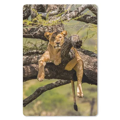 Produktbild von MuchoWow® Mauspad Mousepad Löwe - Baum - Braun 40x60 cm - Mousepads - Maus Mat - Pad - Mausunterlage - Schreibtisch Accesoire