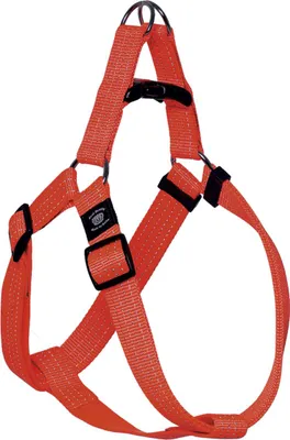 Produktbild von Flamingo Geschirr Step & Go Len orange, Maße: 35-60 cm / 20 mm