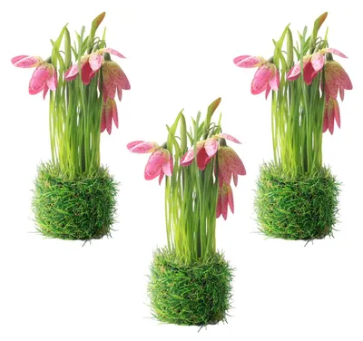 Image de Fleurs artificielles - Plantes décoratives d'apparence naturelle - Décoration pour balcon et jardin - Lot de 3 bouquets