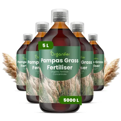 Produktbild von Pampasgras Flüssigdünger 5x1L – 2-1-8 NPK – Flüssig-Pflanzendünger für Pampasgras – Organifer