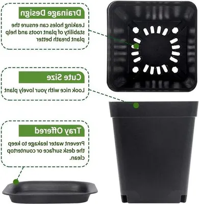 Produktbild von Famanu Pflanztöpfe quadratisch - 24 Stück - schwarz - Kunststoff - 7 cm
