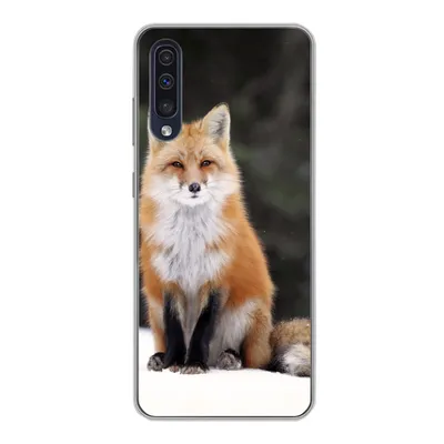Produktbild von MuchoWow® Handyhülle Schutzhülle Hülle für Samsung Galaxy A30s Fuchs - Schnee - Rot Silikon Softcase Handy Hülle - Karteninhaber