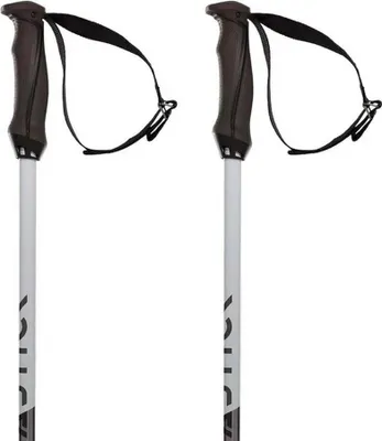 Immagine prodotto di Bastoncini Volkl Phantastick 18 mm argento 120 cm argento 120 cm