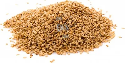 Produktbild von Sesamsaat natur, geröstet - Ellis Gewürz