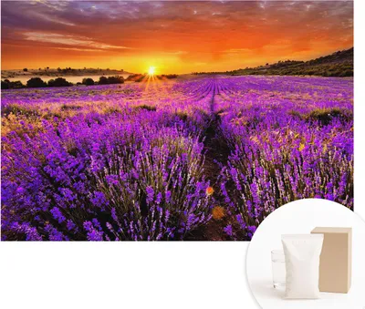 Obrázek produktu pro Samolepicí fototapeta – nástěnné obrazy do obývacího pokoje – 152 x 104 cm – dekorativní fólie na stěny – moderní design pro výzdobu stěn – tapety do interiéru – levandulový západ slunce