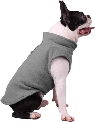 Image de Collier en polaire pour chiens de petite et moyenne taille - Taille L - Gris