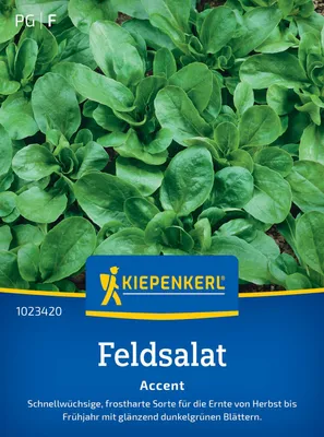 Produktbild von Kiepenkerl Feldsalatsamen Accent Valerianella locusta 14-16 lfd. Meter