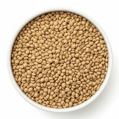 Obrázek produktu pro Alfalfa semínka500 g MIONELO