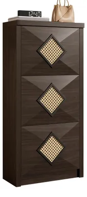 Obrázok produktu pre Skriňa na topánky, vintage štýl – tmavohnedé drevo s ratanovou výplňou – 54 x 25 x 115 cm – drevotrieska