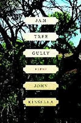Immagine prodotto di Jam Tree Gully