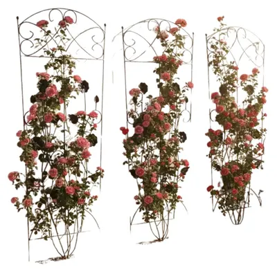 Imagen del producto de Valla para jardín, acero , 3 unidades, 110,5 x 42,5 cm, para uso en exteriores, ideal para plantas trepadoras