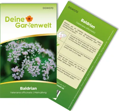Baldrian  Samen - Valeriana officinalis - Baldriansamen - Kräutersamen - Saatgut für 100 Pflanzen