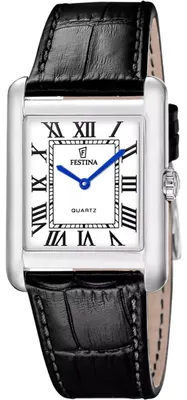 Obrázek produktu pro Hodinky Festina F20771/1
