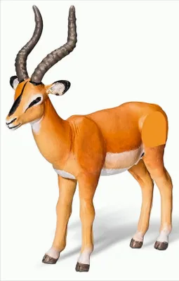 Produktbild von Ravensburger Antilope, 4 Jahr(e), tiptoi: Africa, Grau, Orange