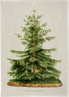 Produktbild von Küchentuch – Weihnachtsfichte – Skona Ting