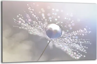 Produktbild von Herdabdeckplatte Glaskeramikkochfeld-Abdeckung Spritzschutz Glas 80x52 Blumen