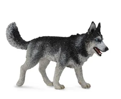 Image de Collecta husky sibérien 88707 87074