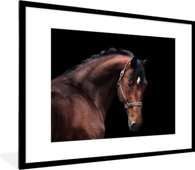 Produktbild von MuchoWow® Gerahmtes Poster Pferd - Halfter - Braun 80x60 cm - Poster mit Schwarzem Bilderrahmen Wandposter Rahmen Foto Bilder - Schlafzimmer-Dekorationen - Fotoposter