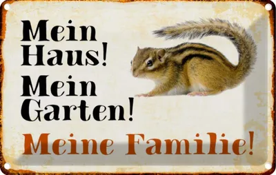 Produktbild von vianmo Blechschild 12x18 cm Tiere Eichhörnchen mein Haus Garten Tier Haustier
