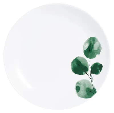 Image de 6 Assiettes à dessert 19 cm Eucalyptus - Luminarc