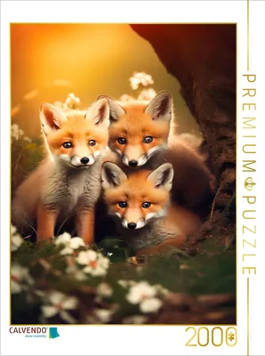 Produktbild von CALVENDO Puzzle Drei Fuchswelpen | 2000 Teile Lege-Größe 90x67cm Foto-Puzzle für glückliche Stunden