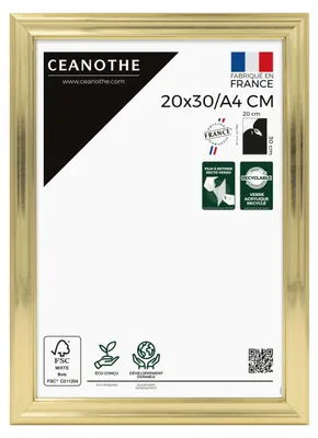 Image de Ceanothe cadre photo Julia 20x30 cm or