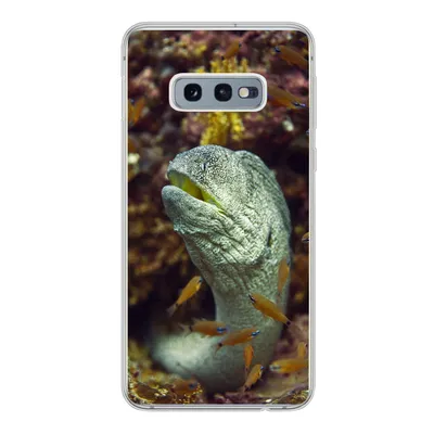 Produktbild von MuchoWow® Handyhülle Schutzhülle Hülle für Samsung Galaxy S10e Fische - Korallen - Ozean Silikon Softcase Handy Hülle - Handy