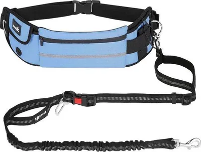 Produktbild von Famanu Joggingleine für Hunde mit Bauchgurt – elastisch, verstellbar, mit Halter für Zubehör