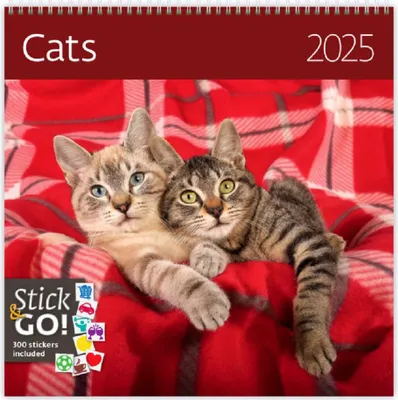 Immagine prodotto di Gatti 2025 - calendario da parete