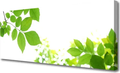 Produktbild von Tulup Leinwand-Bilder 125x50 Wandbild Canvas Kunstdruck Blumen Blätter Pflanzen
