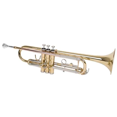 Produktbild von Trompete STPGD-10 aus Messing mit 11,65mm Bohrung und 125mm Resonanzboden