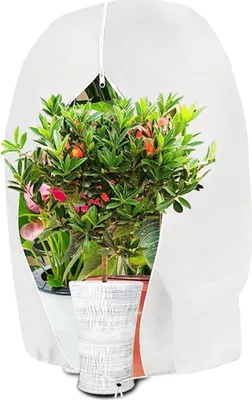 Produktbild von 1 Stück Winterschutz für Pflanzen, 100X120CM Frostschutz Schutzhülle Winterschutz Kübelpflanzensack mit Reißverschluss Zugband, Wiederverwendbar Winter Pflanzenschutzsack Reißfest (Weiß