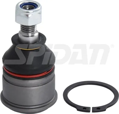 Produktbild von SPIDAN CHASSIS PARTS Traggelenk Vorne Unten für HONDA CRX II (ED, EE) 40667
