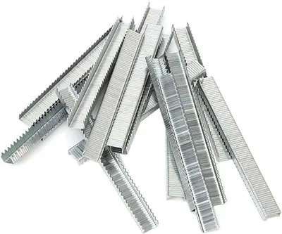 Image de Agrafes t50 Boîte de 5000 agrafes 10 mm