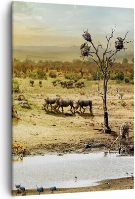 Produktbild von Bild auf Leinwand - Leinwandbild - Einteilig - Safari Tiere - 50x70cm - Wand Bild - Wanddeko - Wandbilder - Leinwanddruck - Kunstdruck - Wanddekoration - Leinwand bilder - Wandbild - PA50x70-3880
