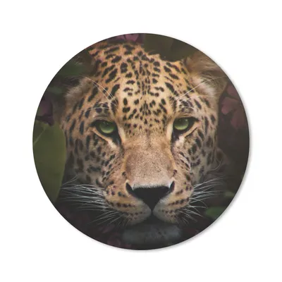 Produktbild von MuchoWow® Mauspad Mousepad Tiere - Panther - Dschungel 40x40 cm - Mousepads - Maus Mat - Pad - Mausunterlage - Schreibtisch Accessoires