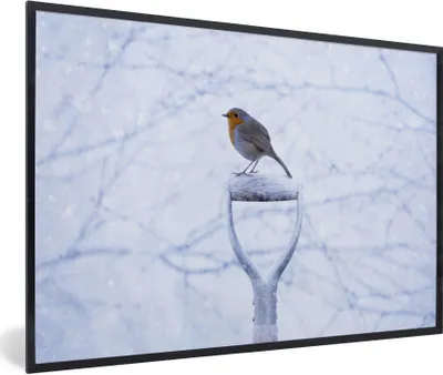 Produktbild von MuchoWow® Gerahmtes Poster Rotkehlchen - Winter - Garten 90x60 cm - Poster mit Schwarzem Bilderrahmen Wandposter Rahmen Foto Bilder - Fotorahmen - Foto-Plakat