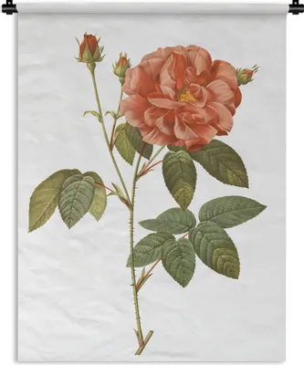 Produktbild von MuchoWow® Wandteppich Wandbehang Blumen - Rose - Vintage 150x200 cm Tapisserie Dekoration Wandtuch - Wandaufhängung - Moderner