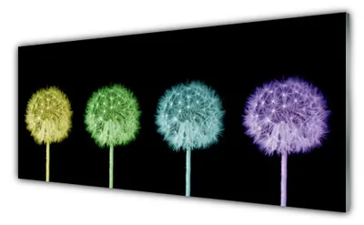 Produktbild von Acrylglasbilder 125x50 Wandbild Druck Pusteblume Pflanzen