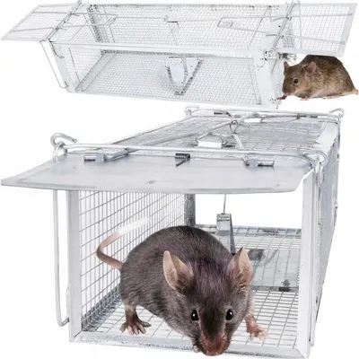Produktbild von Lebendfalle Für Ratten Mäuse Und Marder – Humane Tierfalle 41x14x11 Cm, Verzinktes Eisen, Wiederverwendbar, Innen & Außen
