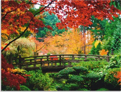 Produktbild von ARTland Wandbild Alu für Innen & Outdoor Eine Brücke im japanischen Garten Größe: 40x30 cm
