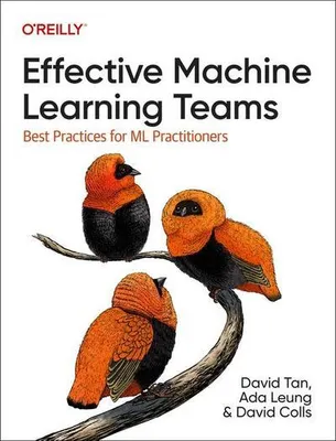 Image de Des équipes d'apprentissage automatique efficaces