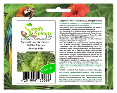Zdjęcie produktu dla 215x Kapusta Spiczasta Express Firstling Kapusta Biała Rośliny Warzywne - Nasiona K484