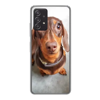 Produktbild von MuchoWow® Handyhülle Schutzhülle Hülle für Samsung Galaxy A53 5G Nahaufnahme des Kopfes eines Dackels Silikon Softcase Handy Hülle - Schutzabdeckung