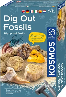 Obrázok produktu pre Kosmos Dig Out Fossils, Výkopová súprava, Archeológia, 7 rok / roky, Modrá